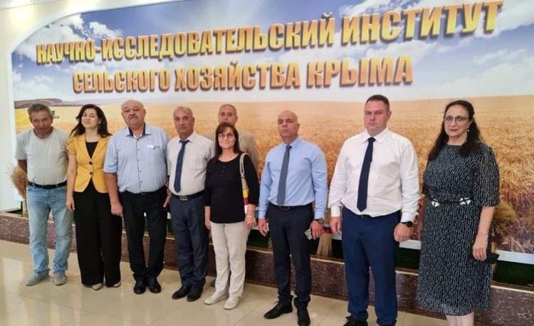    Фото: ФГБУН НИИСХ Крыма