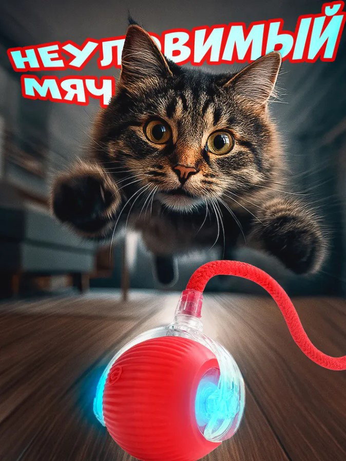 Приз за третье место. Игрушка интерактивная мяч для кошек и собак
