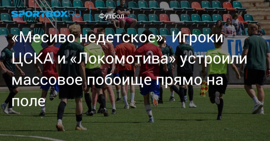    Массовая драка на поле: ЦСКА и «Локомотив» не поделили победу (источник изображения) News Express Team