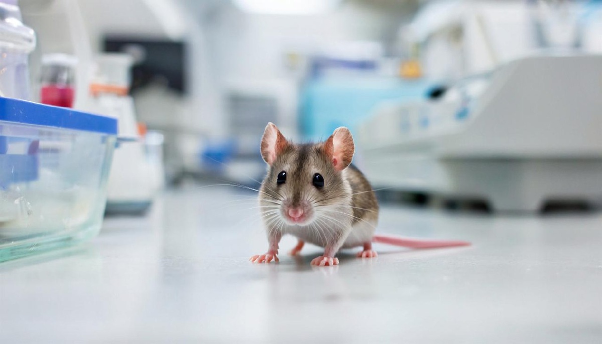    Фото сгенерировано Kandinsky 4.1