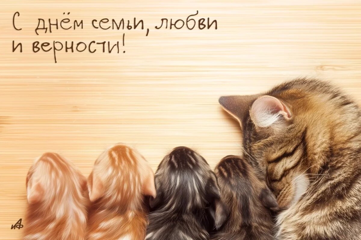    Официальное и близким.