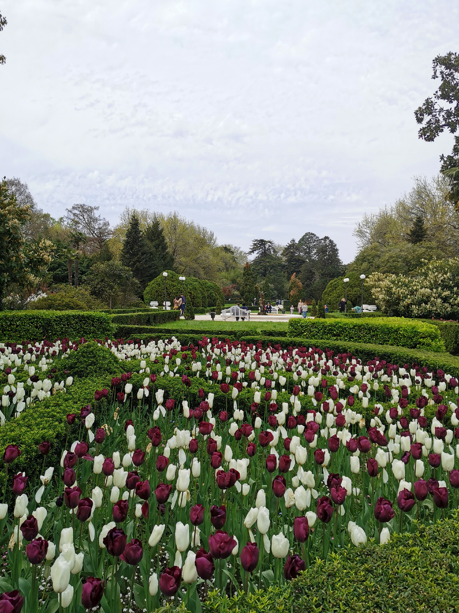 Марин и Квин оф найт