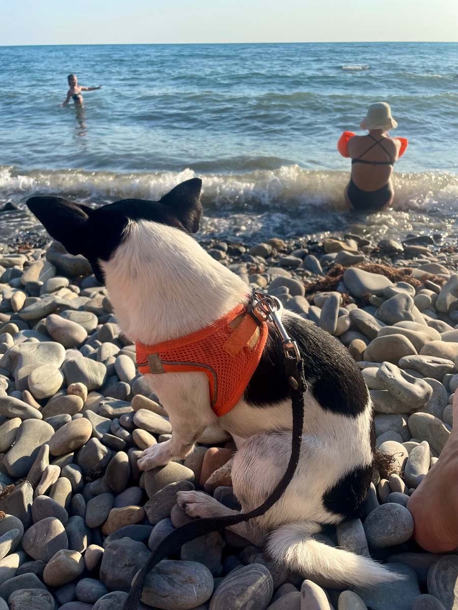 Статью выпускаю прямо с пляжа👌