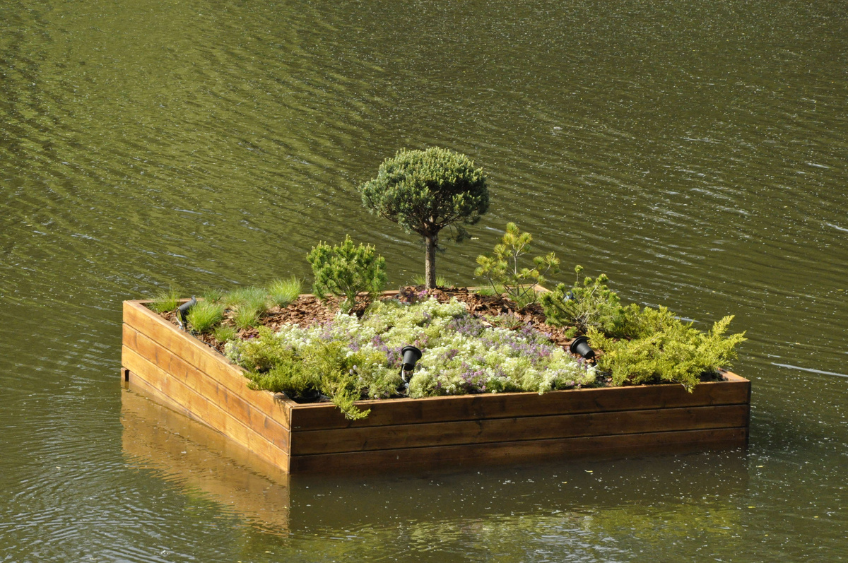 Фото с просторов инета