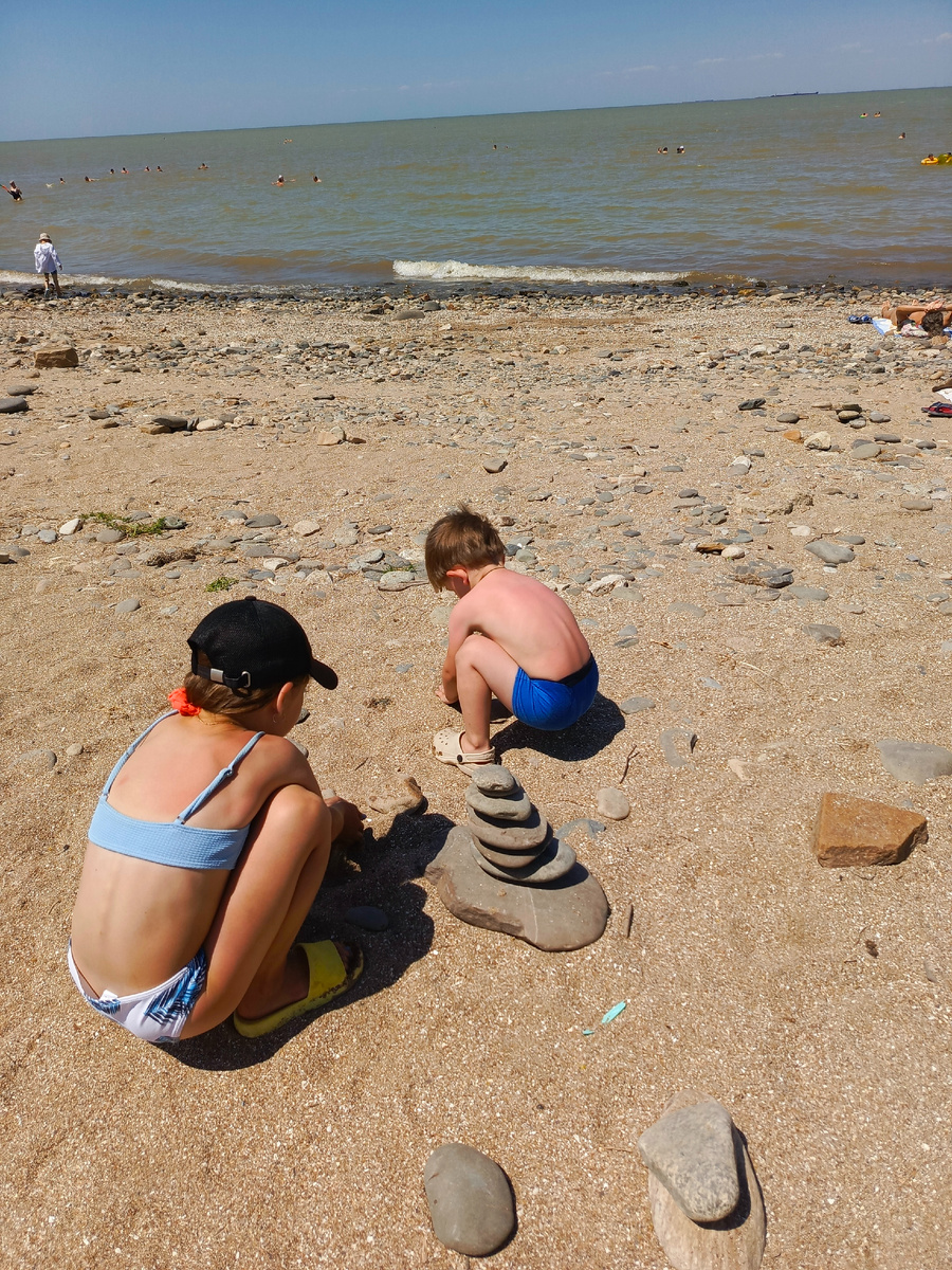 Есть из чего строить 🪚