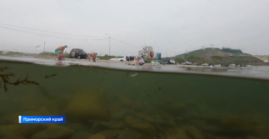    Источник фото: