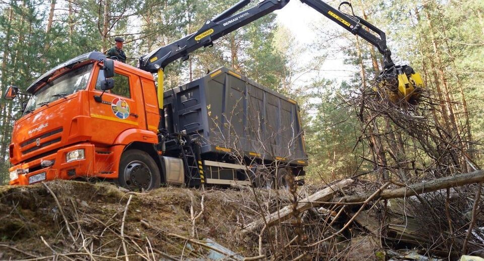    Комитет лесного хозяйства Московской области