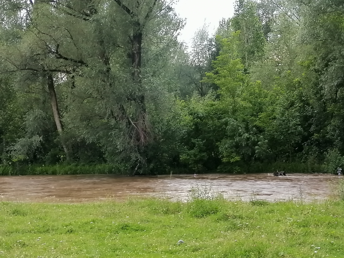 Речка так даже весной не разливалась.