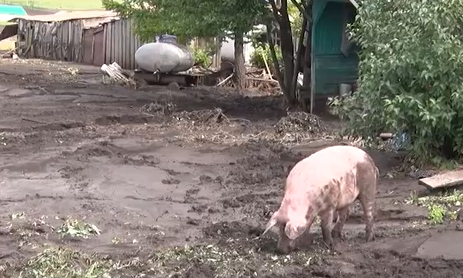     Посёлок Прилужье под Ужуром затопило грязью