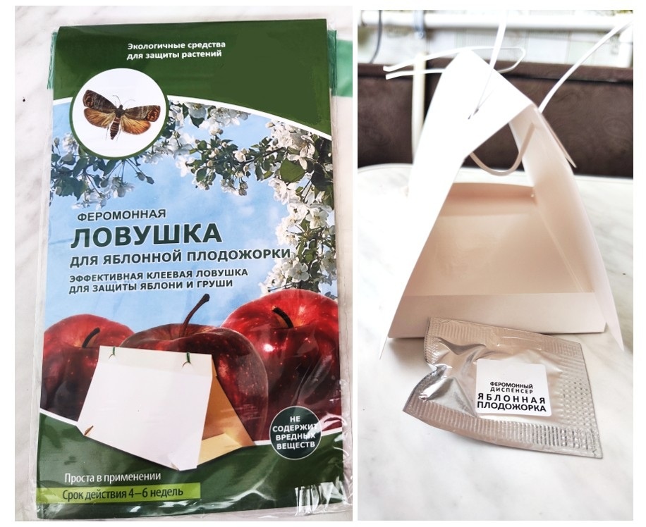 И я купила феромонную ловушку, чтобы это проверить!