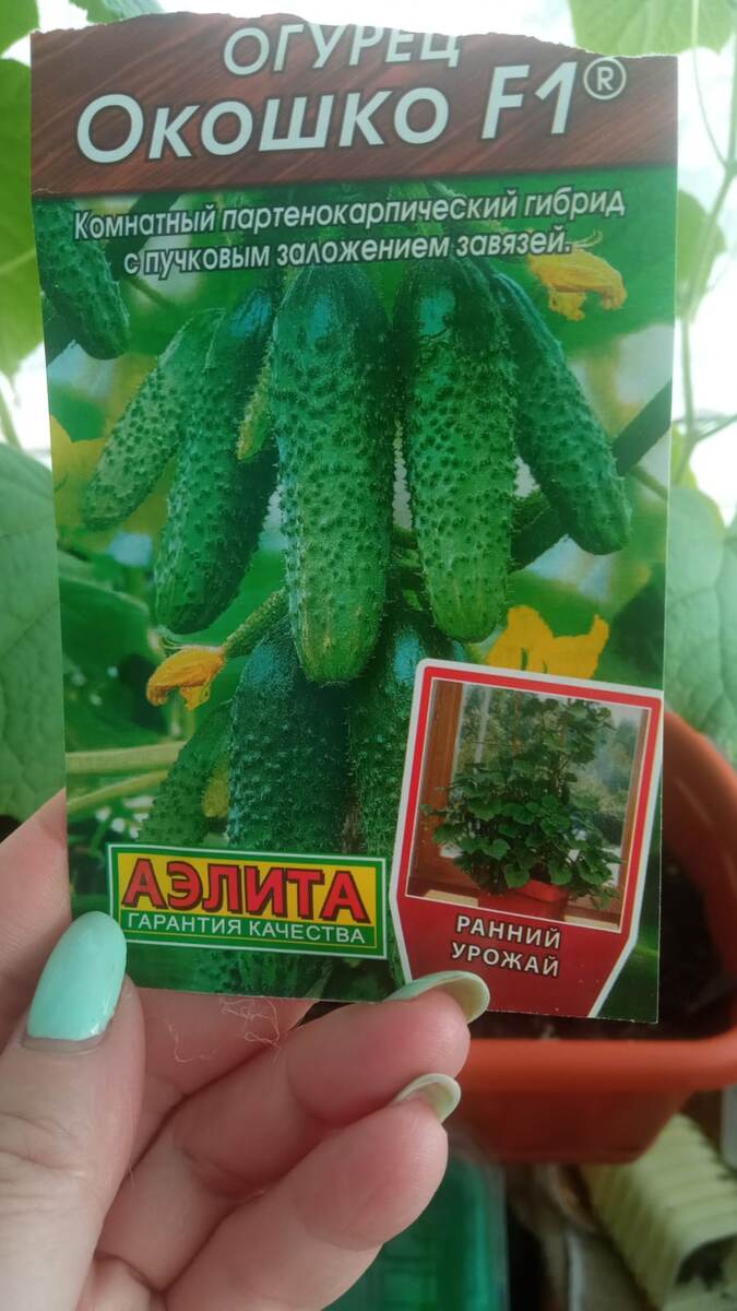 покупала на ВБ