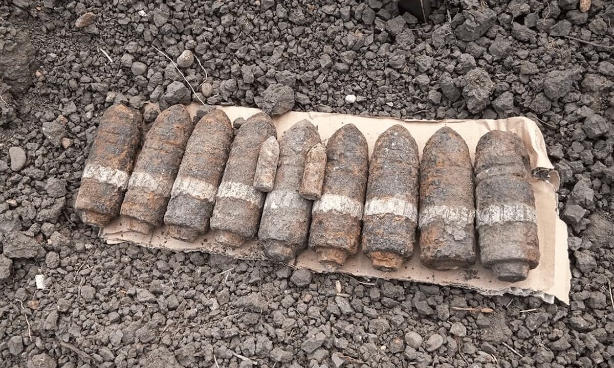    Фото t.me/rosgvard_krasnodar