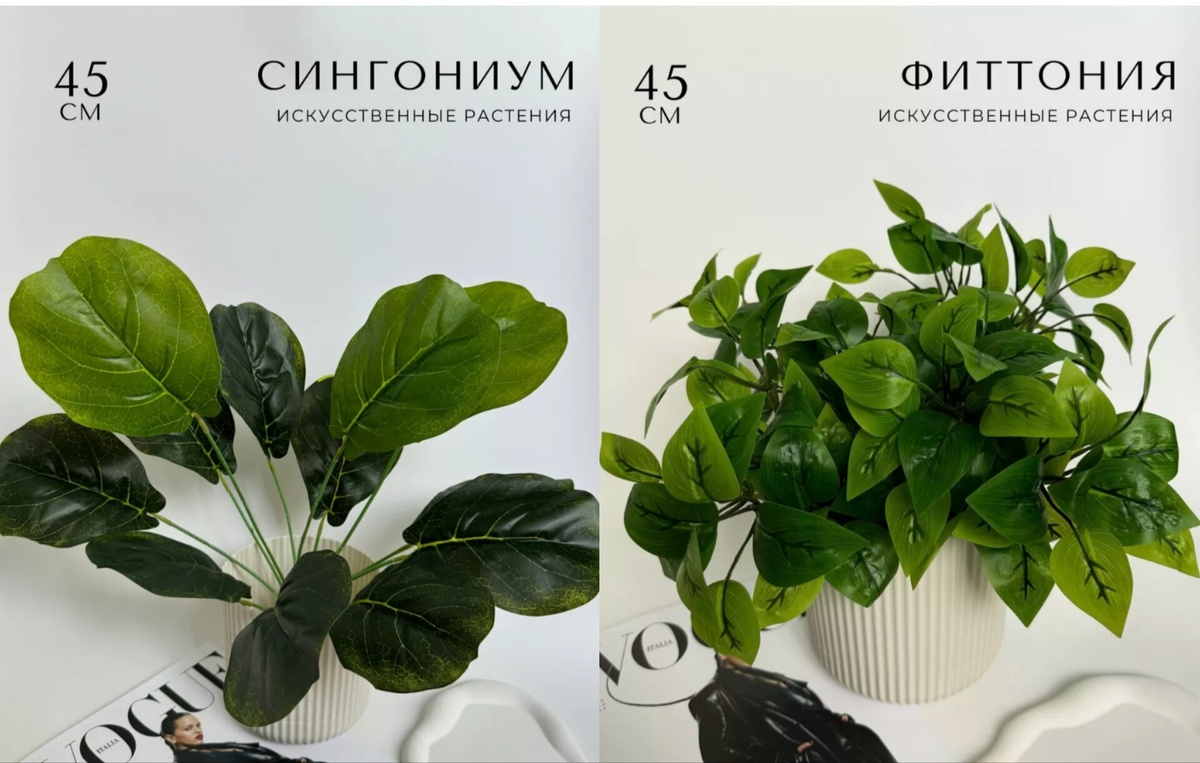 Я конечно не сильна во всем многообразии сингониумов и фиттоний, ну тут явно что-то да не так... Скрины WB.