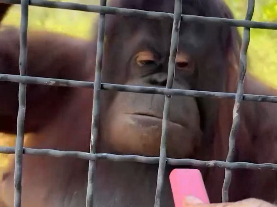 Осуждаем. Источник фото: соцсети