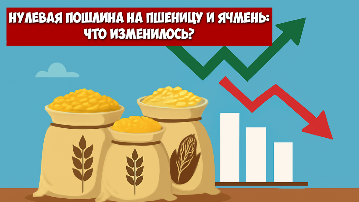 Нулевая пошлина на пшеницу и ячмень: что это значит для аграриев и экспортеров?