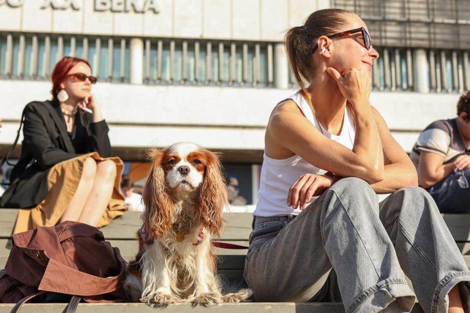    Сергей Петров/NEWS.ru