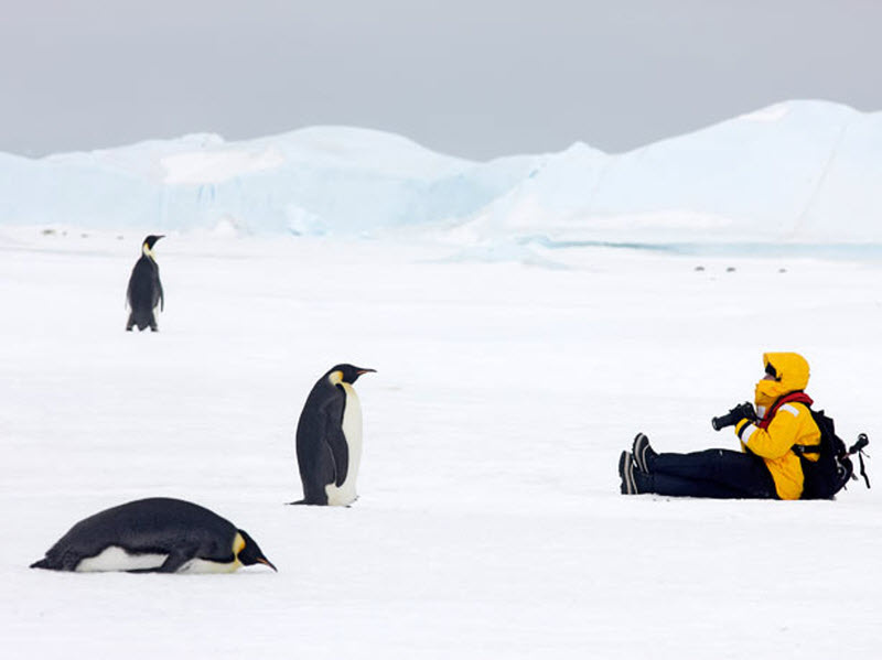 Фото с сайта: https://www.yaplakal.com/forum13/st/0/topic291202.html