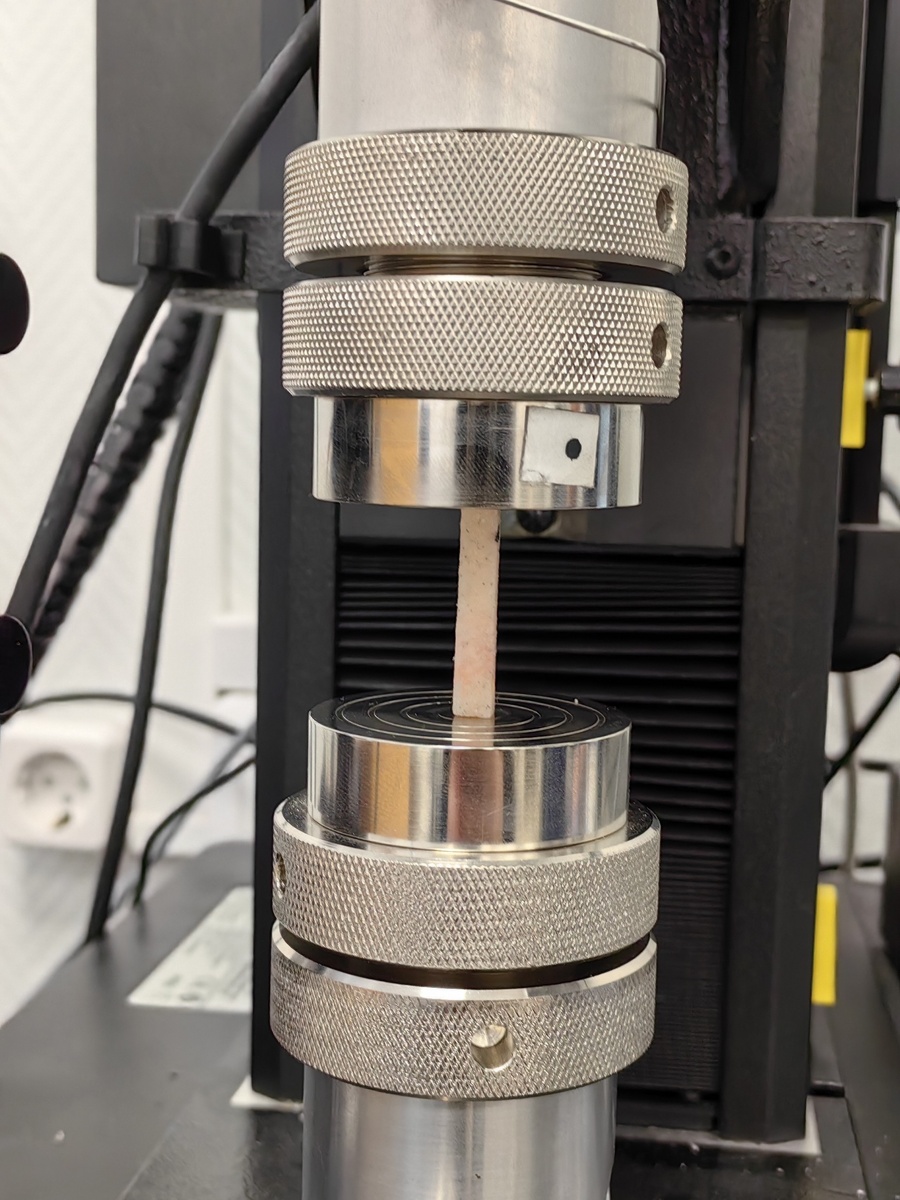 Фото: Дмитрий Иванов