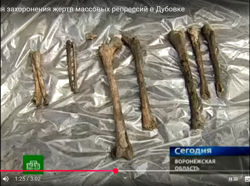 Рисунок 7.33. Детские кости в Дубовке[5]. Тайминг на рисунке.