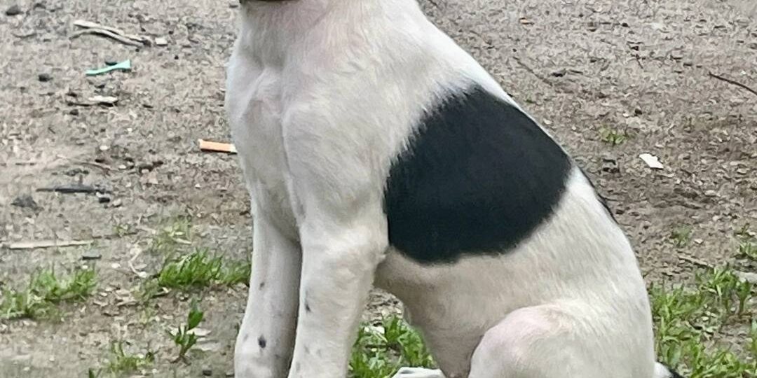 Кто у нас тут такой хорошенький?))