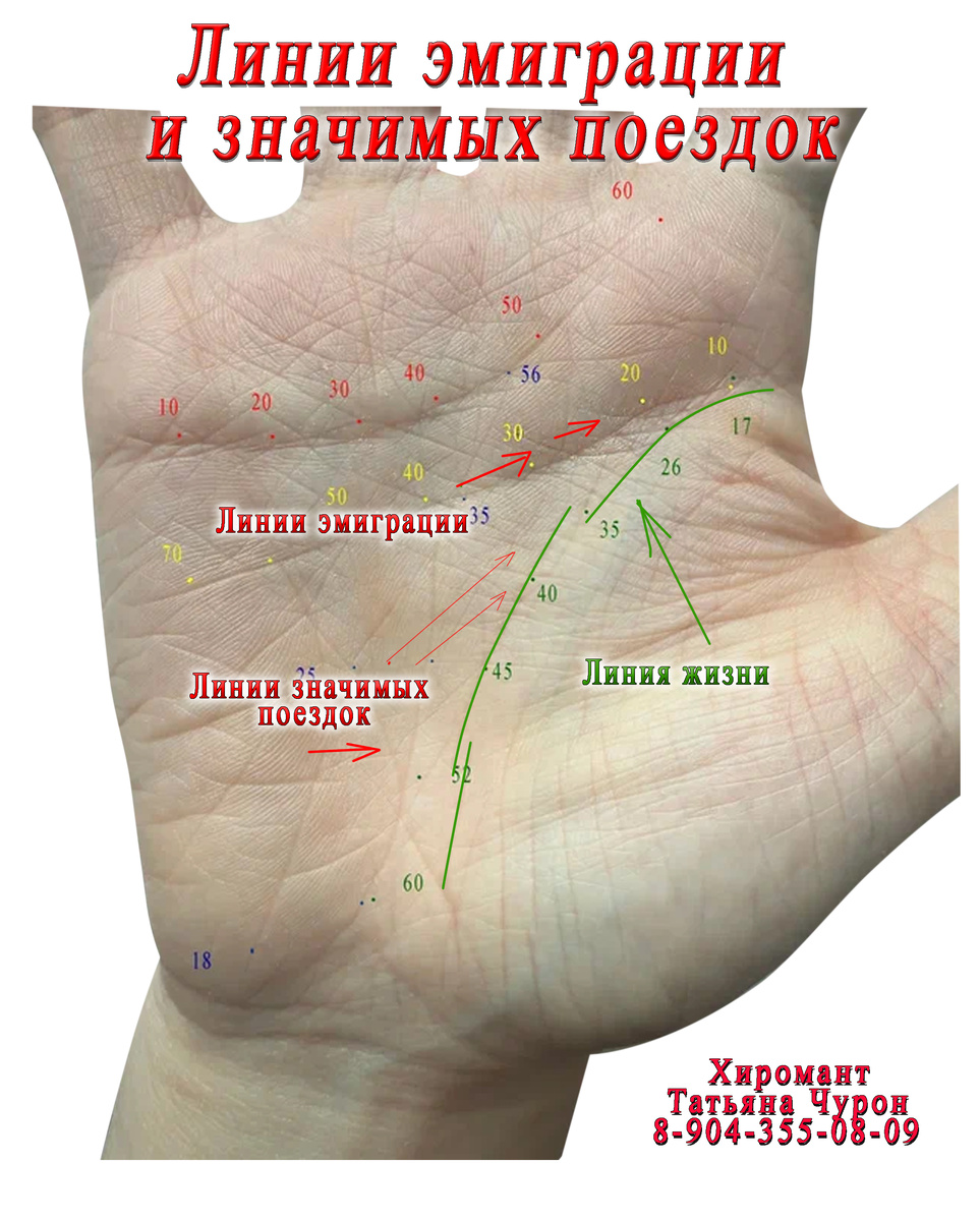 Фото из личного архива