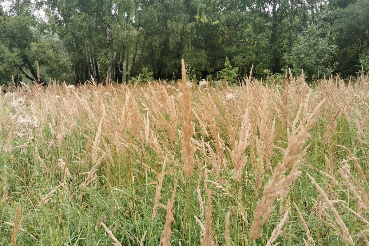 Автор фото: Валерия Ковалева