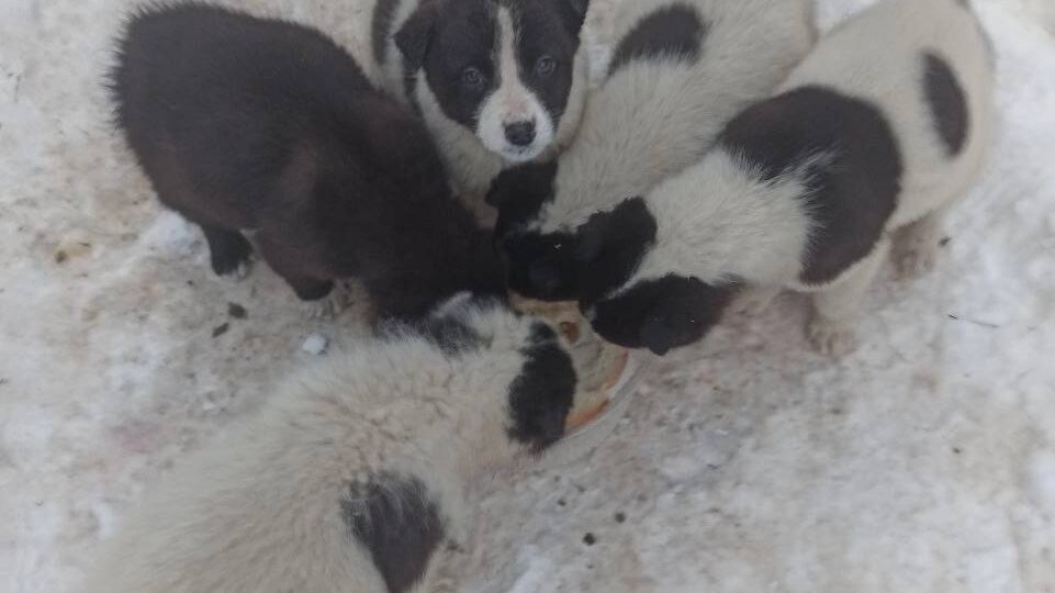 Вам привет! Из дома)