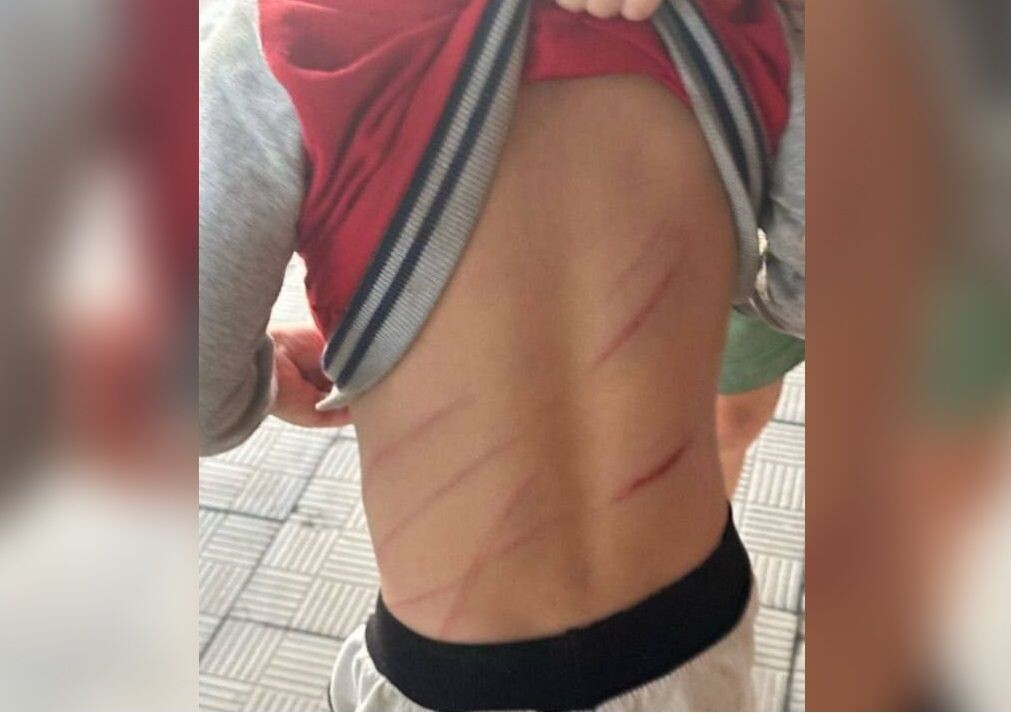     / Источник: Социальные сети