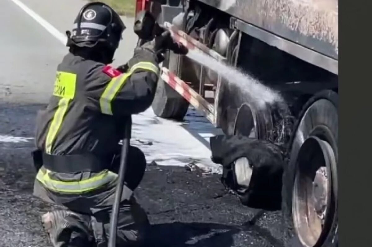    На трассе «Таврида» загорелся грузовик