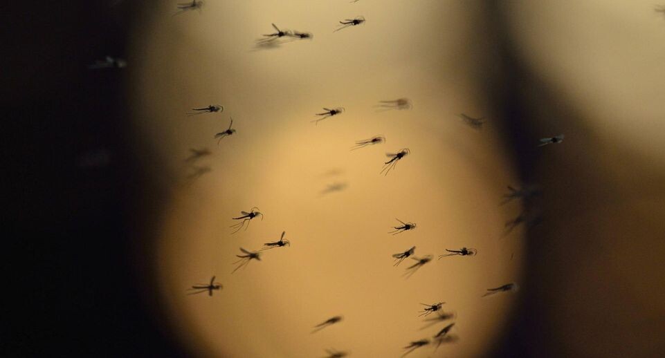    AGAMI/R. de Jong, via www.imago- / www.globallookpress.com