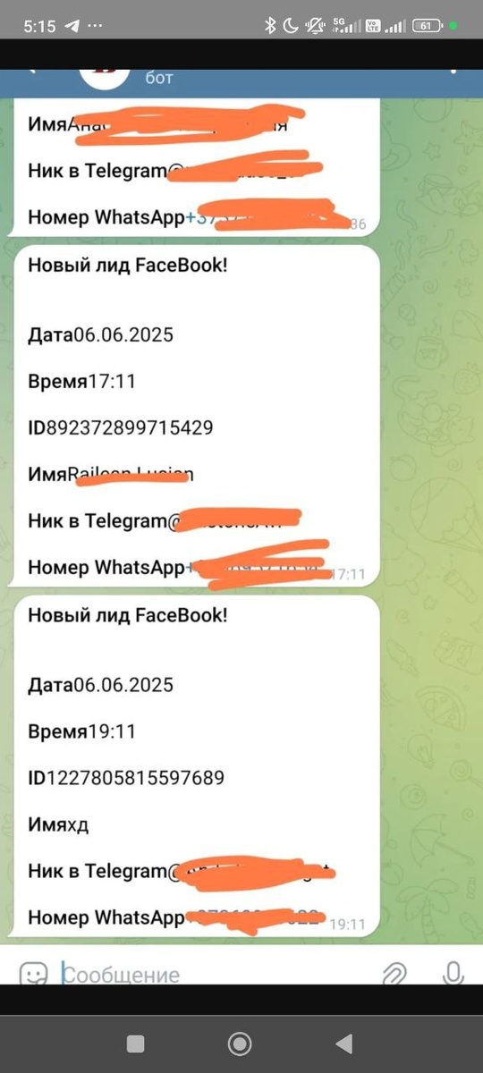 Вот так выглядели лиды в тг боте