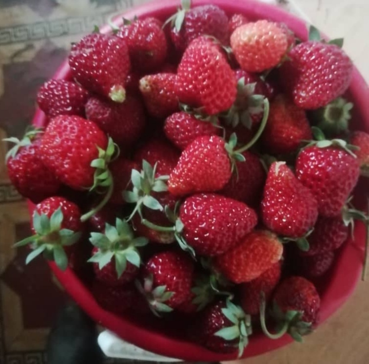 Какая вкуснятина