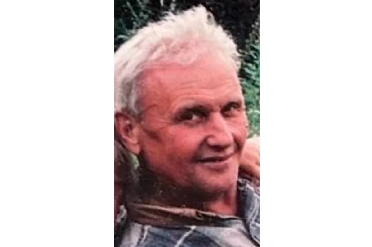    Пожилой мужчина пропал в лесу в Сонковском округе