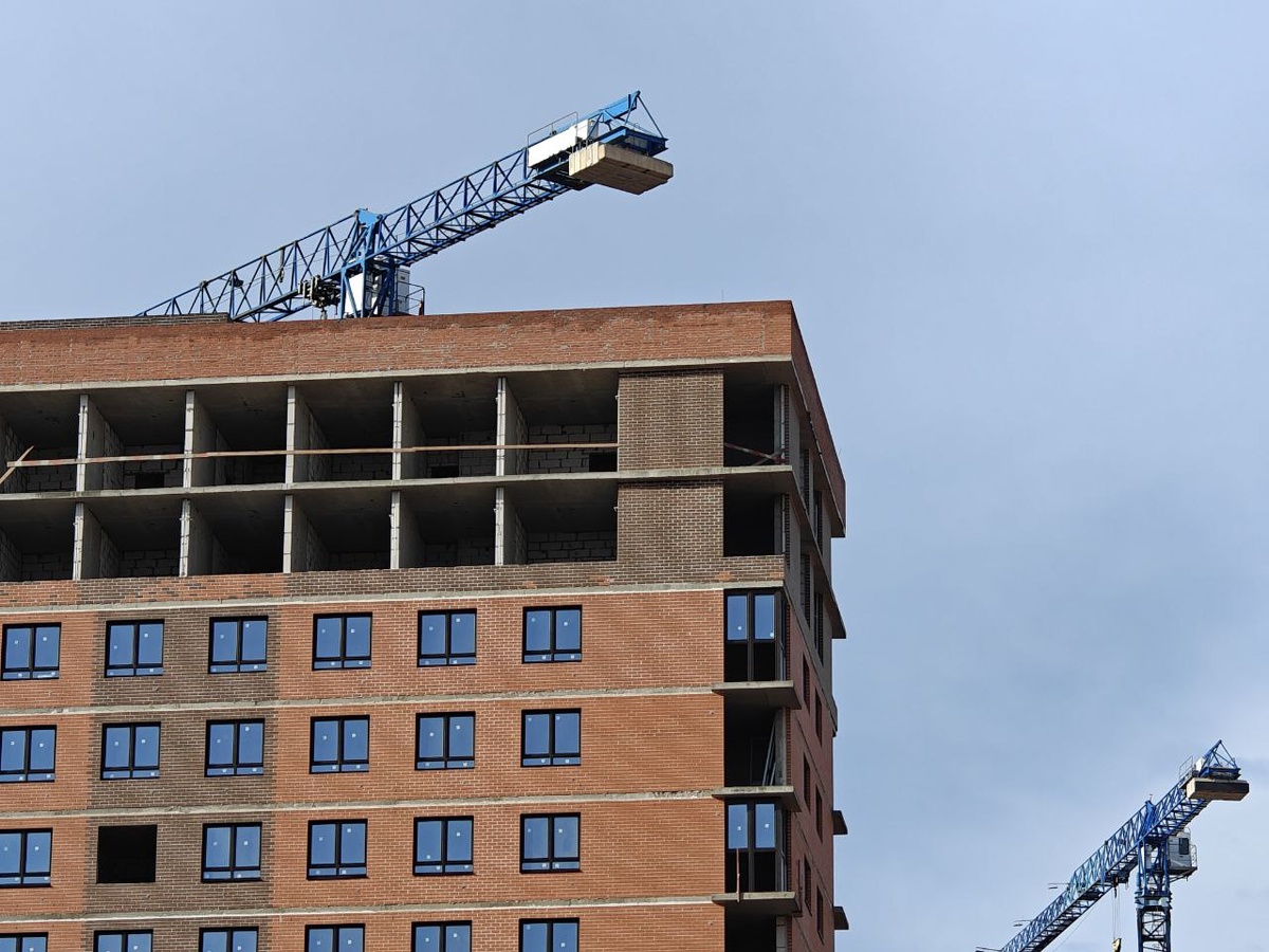    Фото: Юрий Серебренников/BFM Кубань