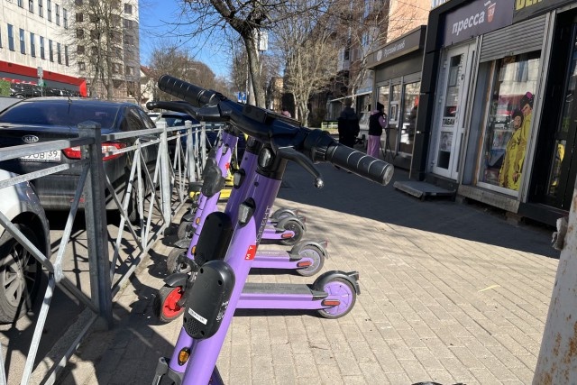   Фото: Калининград.Ru