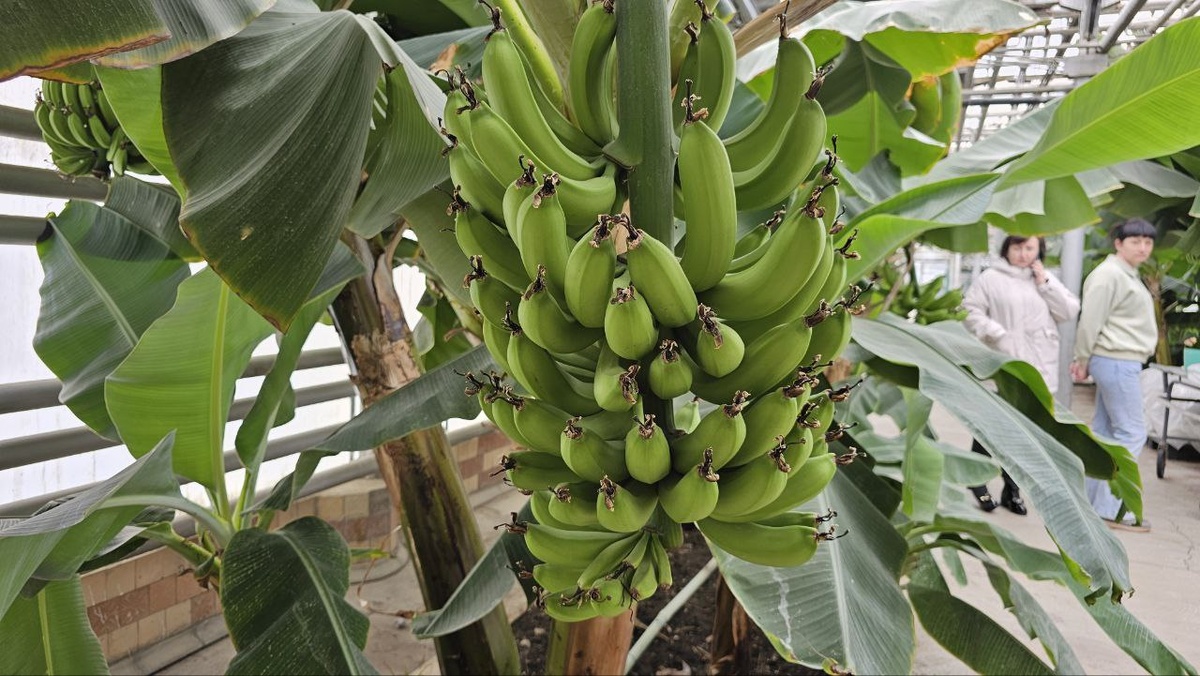 Фото администарции Предгорного округа