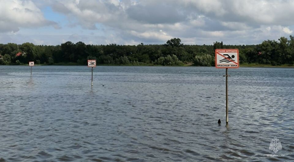    Девушка утонула в реке Бия. Источник: ГУ МЧС по Алтайскому краю