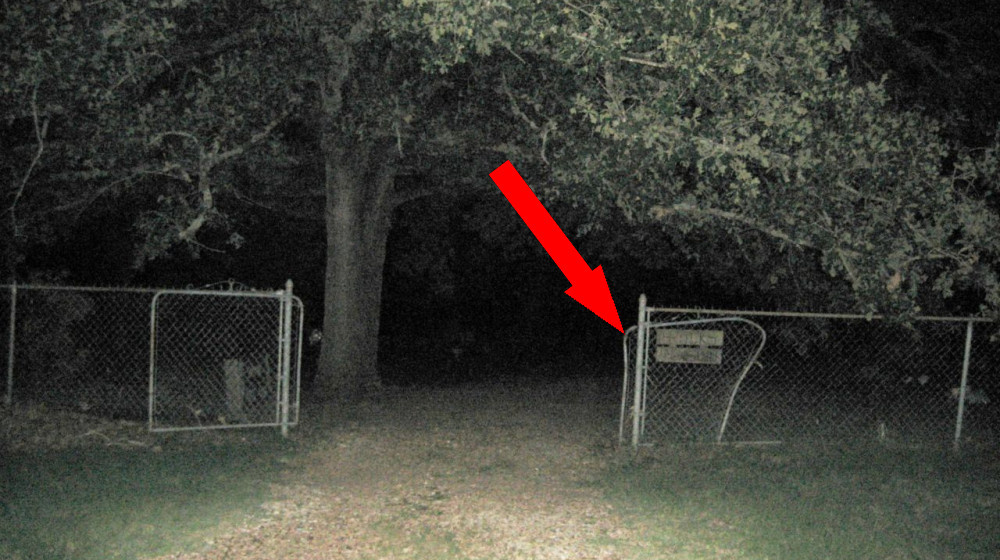    Полтергейст Дэнни шокировал ученых в 2024 году новые факты о необъяснимых явлениях