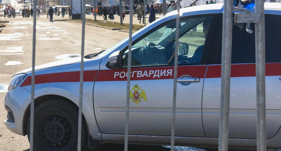    Shatokhina Natalia/news.ru / www.globallookpress.com