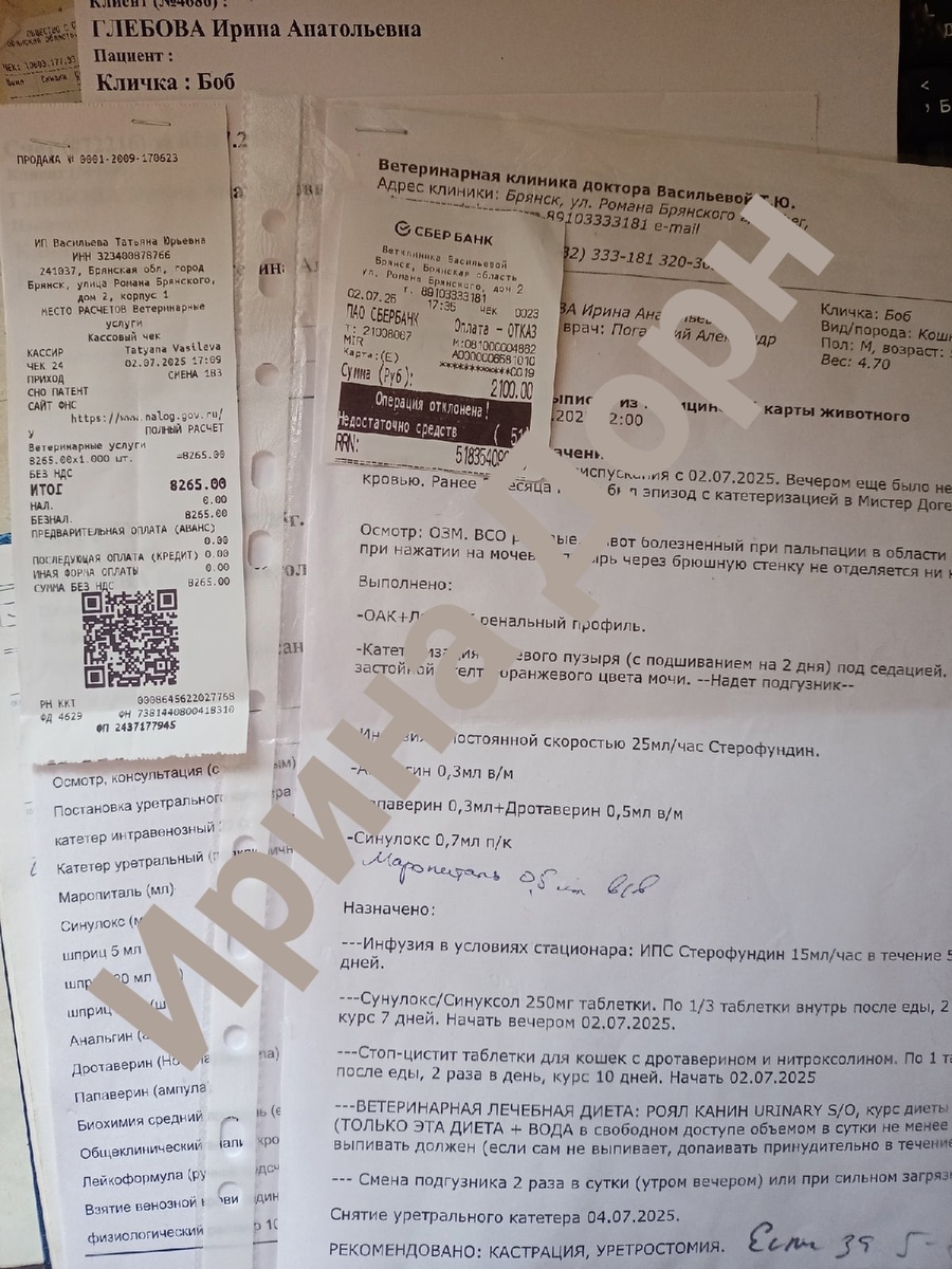 Можно листать