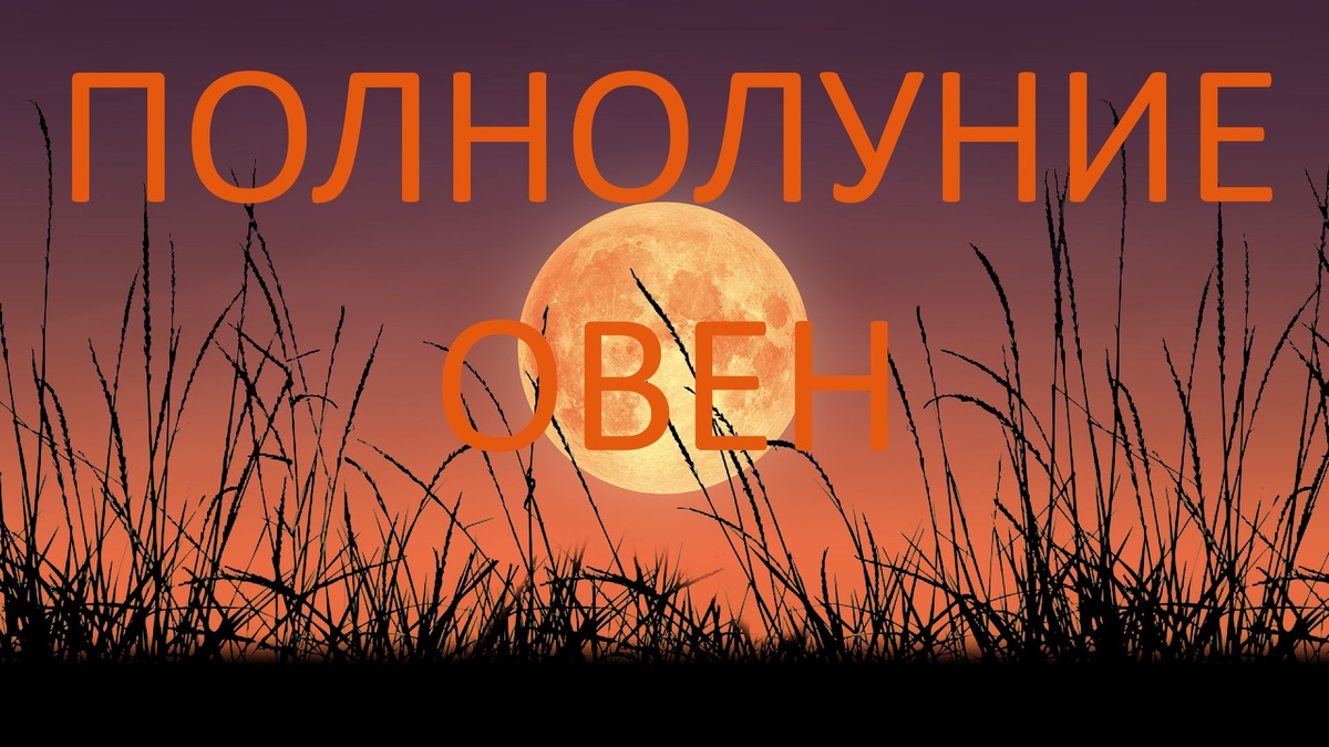 Полнолуние. Фото starwalk.space