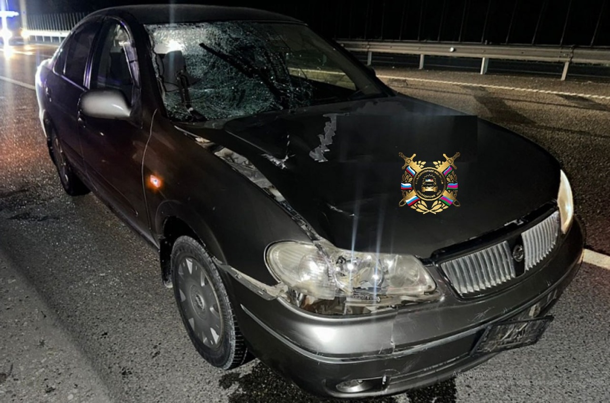    Фото: Госавтоинспекция Кубани