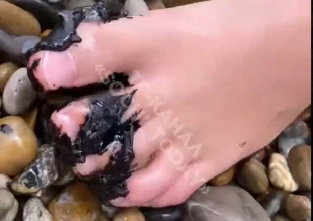    Скриншот видео: t.me/sochiglav