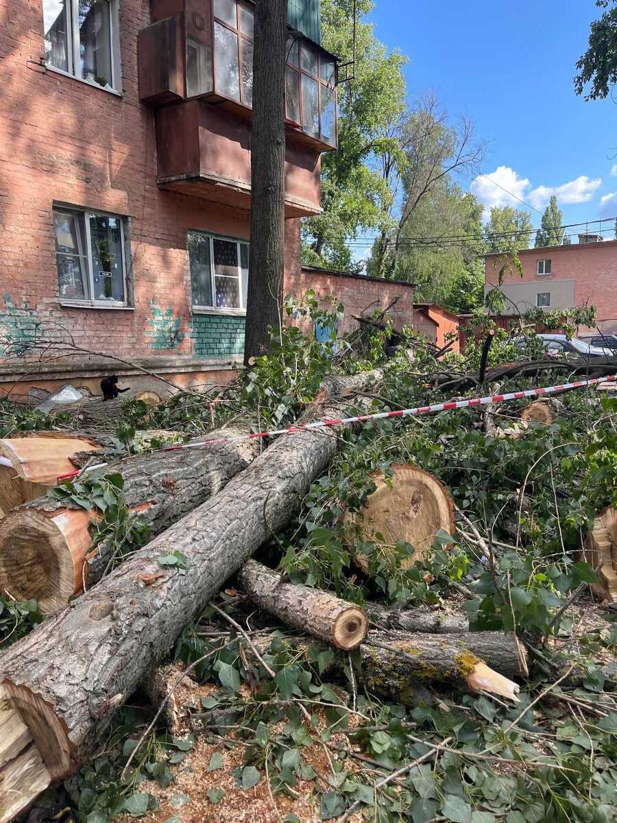 Фото: тг-канала Олеси Дворцовой