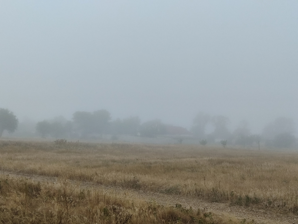Очень густой туман, и очень сырой