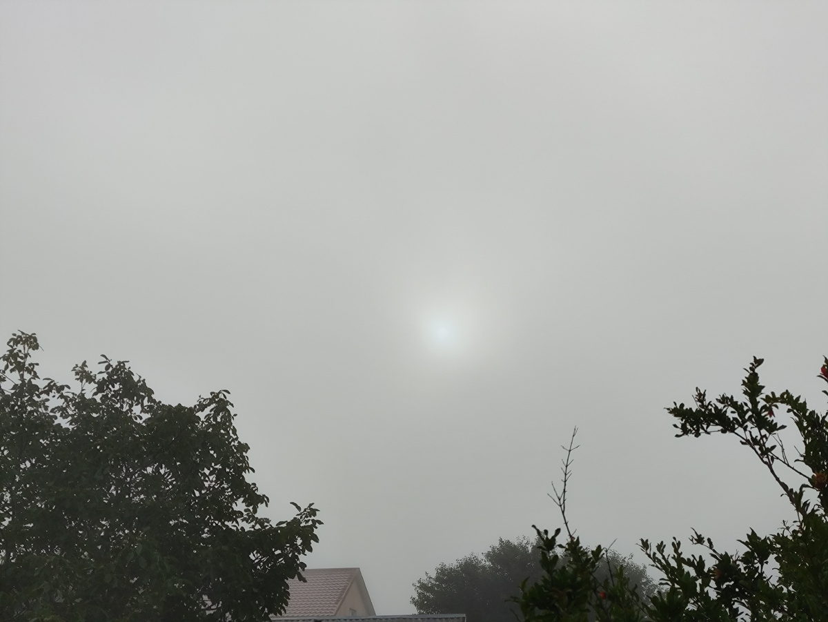 И солнца тоже не видно почти