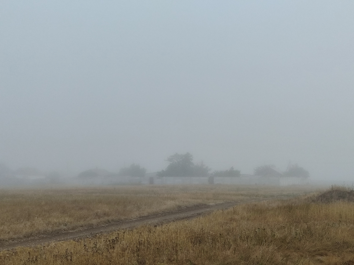 Соседей почти не видать