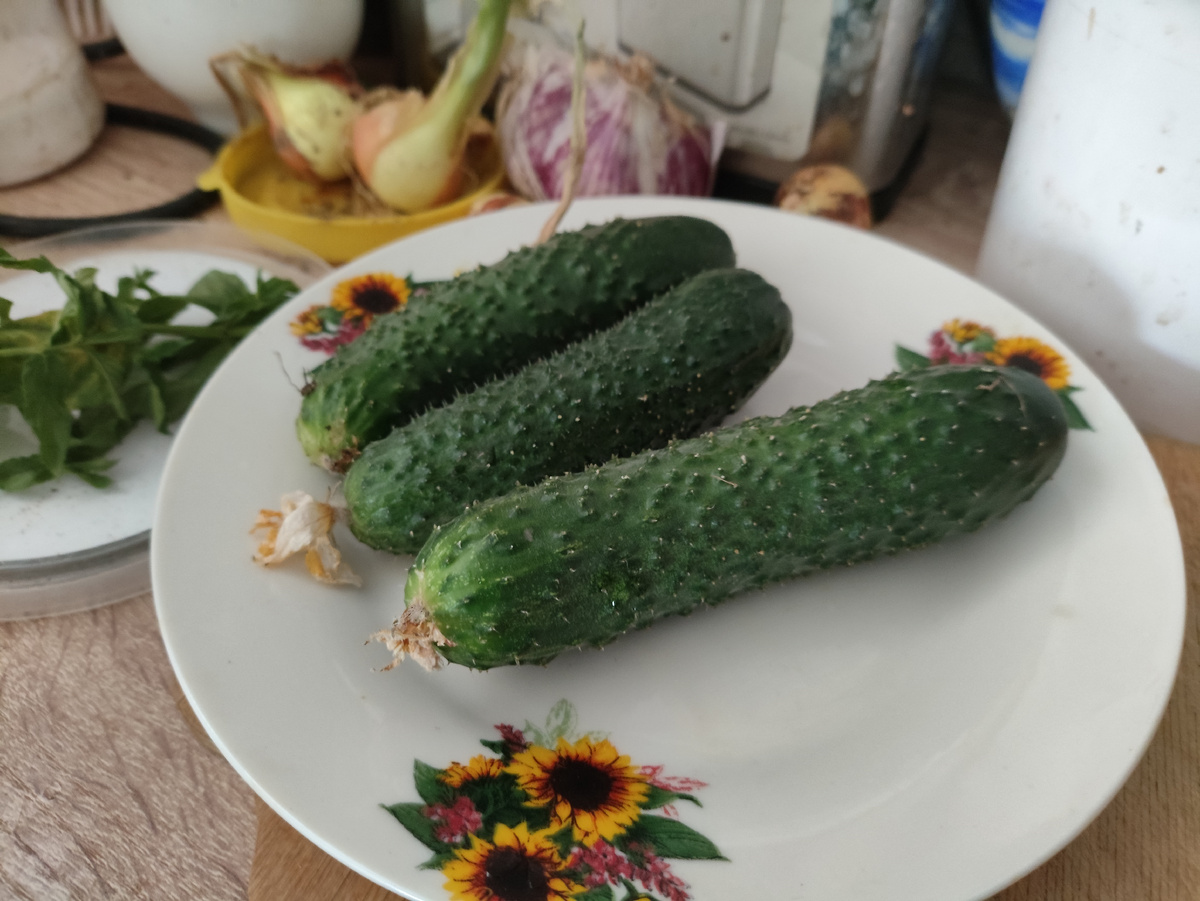 Огурчики с пупырками )))