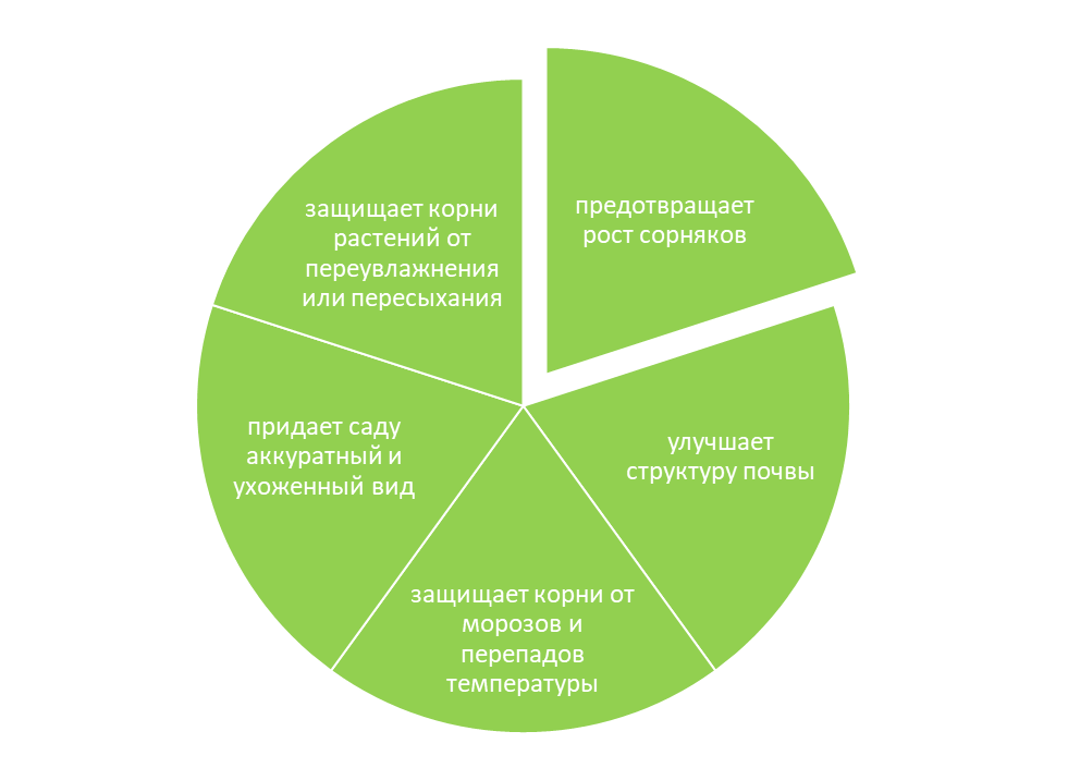 Задачи, с которыми справляется кора