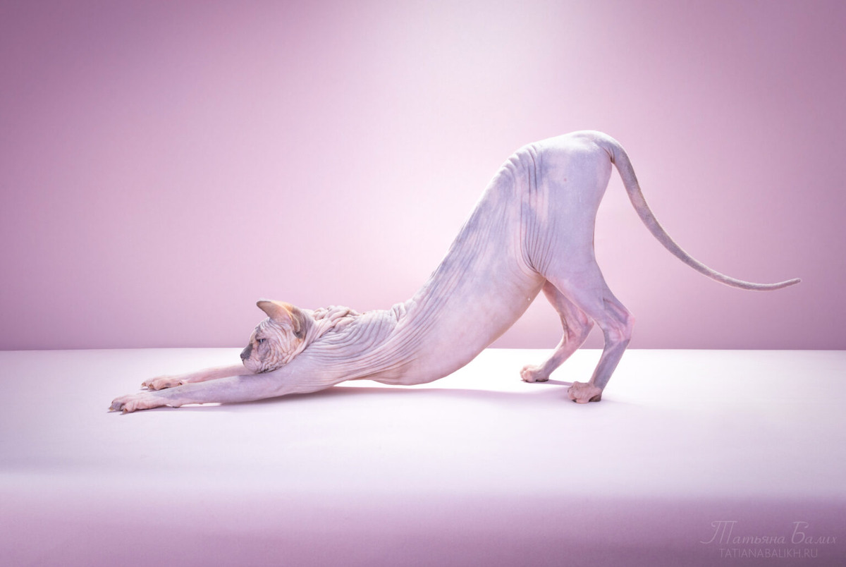 Фото: Татьяна Балих